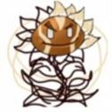 植物大战僵尸神奇植物版