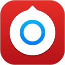 小决定转盘中文版