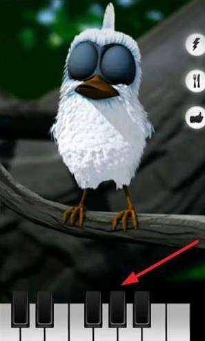 会说话的拉里鸟中文版