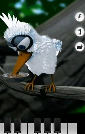 会说话的拉里鸟中文版