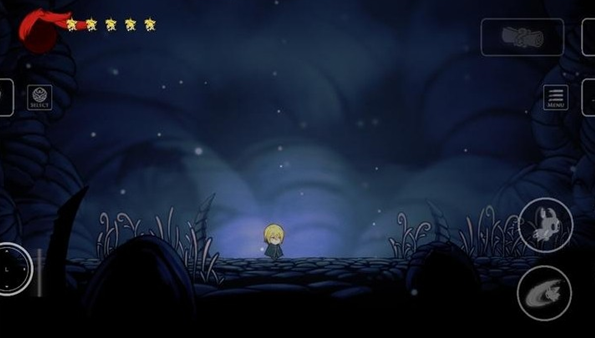 空洞骑士堂吉诃德皮肤